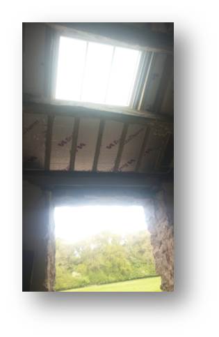 The view from inside through the skylights.